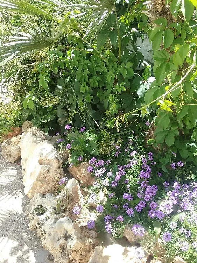 Apartahotel Residence San Vito Mazara del Vallo Italia